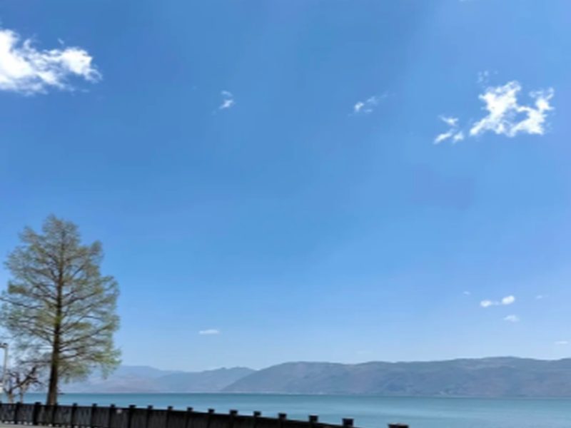 第2天參考圖1